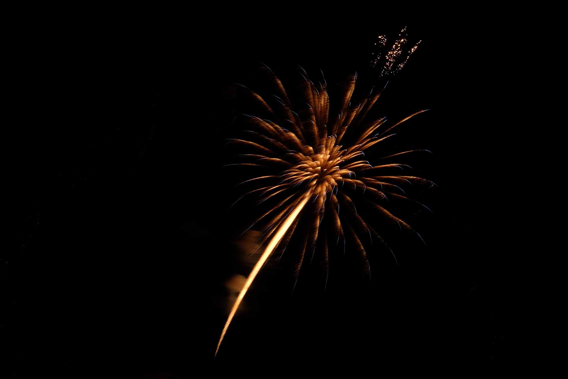 Feuerwerk Japantag 25